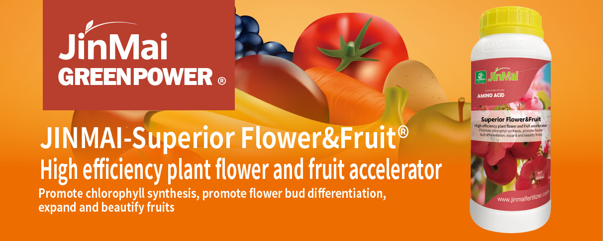 High Efficiency Plant Flower And Fruit Accelerator Fertilizer_01