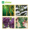 Cold Regulating Protein Promoter Fertilizer