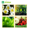 JINMAI Energy® Plant Growth Regulator
