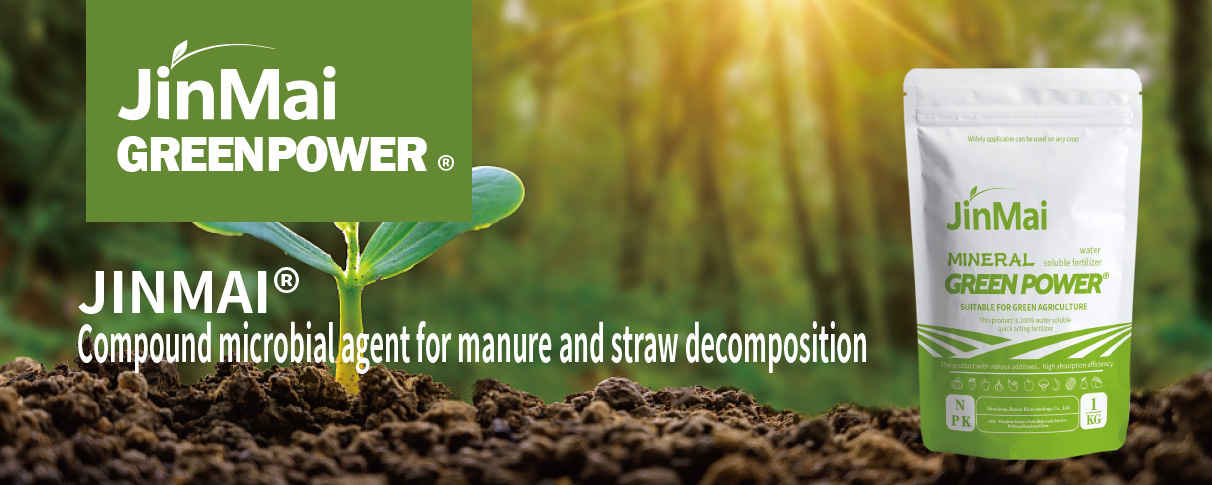 Compound Microbial Agent For Manure And Straw Decomposition_01