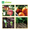 Microbial Fertilizer
