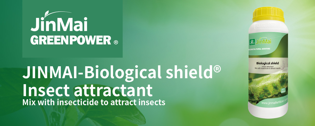 Insect Attractant_01