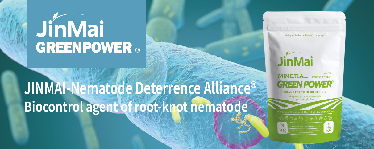 Biocontrol Agent Of Root-Knot Nematode_01