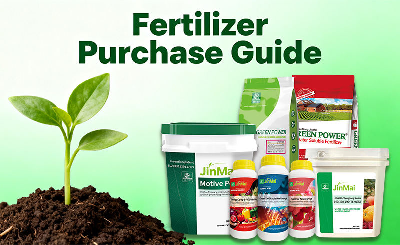Fertilizer Buying Guide 2025: How to Choose the Right Product and Reliable Supplier