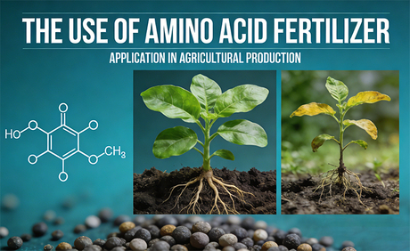 The Use of Amino Acid Fertilizer.jpg
