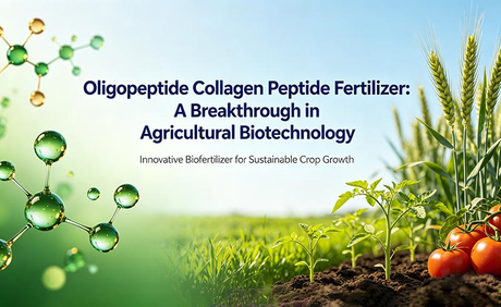 Fertilizante de Pept&iacute;deo de Col&aacute;geno Oligopept&iacute;deo Um Avan&ccedil;o na Biotecnologia Agr&iacute;cola_01.jpg