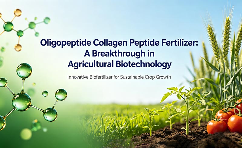 Oligopeptide Collagen Peptide Fertilizer A Breakthrough in Agricultural Biotechnology_01.jpg
