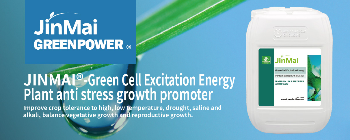 Plant Anti Stress Growth Promoter Fertilizer