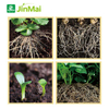 Natural Rooting And Stress Resistant Active Solution