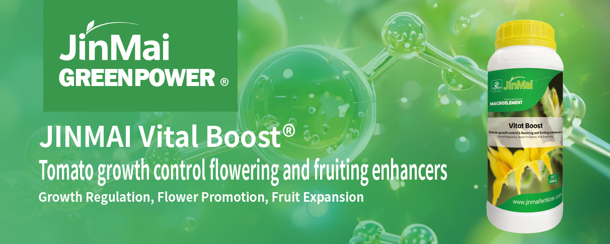 Tomato Growth Control Flowering And Fruiting Enhancers Fertilizer_01