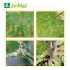 Broad-Spectrum Antibacterial And Fungicidal