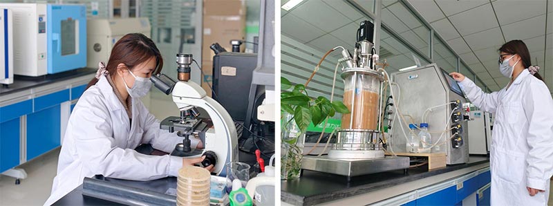 Jinmai Biotech fortalece inova&ccedil;&atilde;o em biofabrica&ccedil;&atilde;o e agricultura sustent&aacute;vel_01