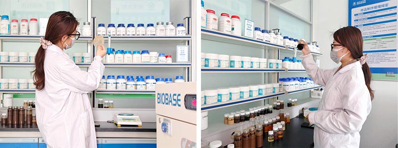 Jinmai Biotech fortalece inova&ccedil;&atilde;o em biofabrica&ccedil;&atilde;o e agricultura sustent&aacute;vel_02