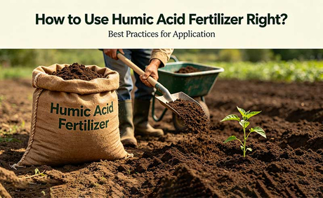 How to Use Humic Acid Fertilizer Right.jpg