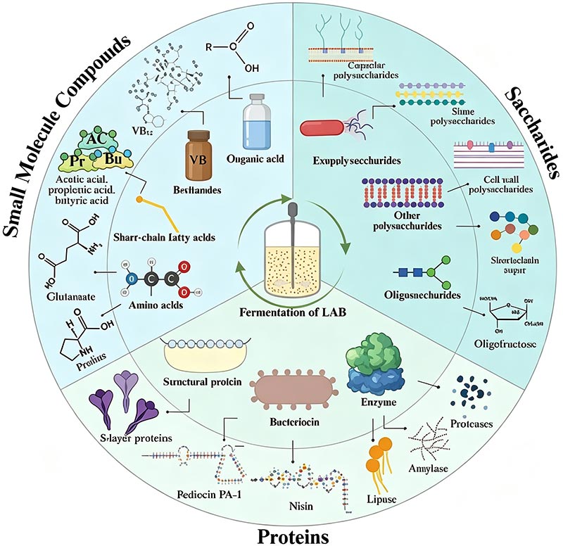 Why GREEN POWER GROUP Invests in Agricultural Fermentation Technology_01.jpg