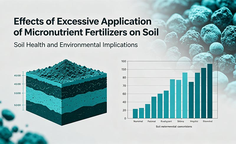 What happens if too much micronutrient fertilizer is added to soil.jpg