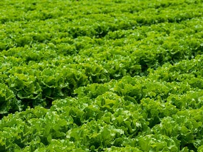 برنامه های کاربردی_05