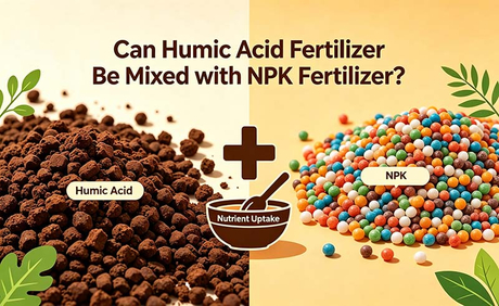 Can Humic Acid Fertilizer Be Mixed with NPK Fertilizer.jpg