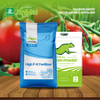 High Phosphorus Potassium NPK Fertilizer