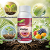 JINMAI Vitalign&reg;