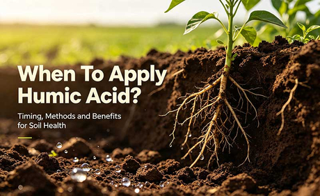 When To Aplpy Humic Acid (2).jpg