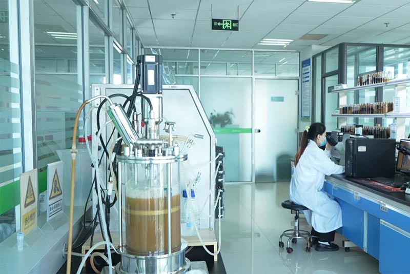 From Gene Engineering to Industrial Production - JINMAI Biotech Achieves Breakthrough in Chitosanase (CSN) Manufacturing_02.jpg
