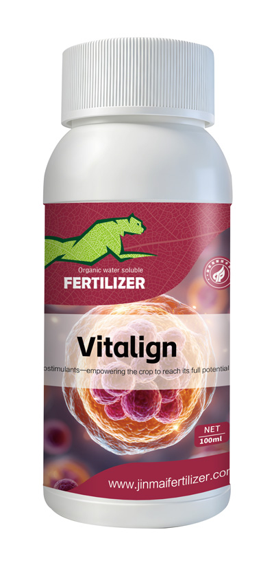 JINMAI Vitalign&reg;_02